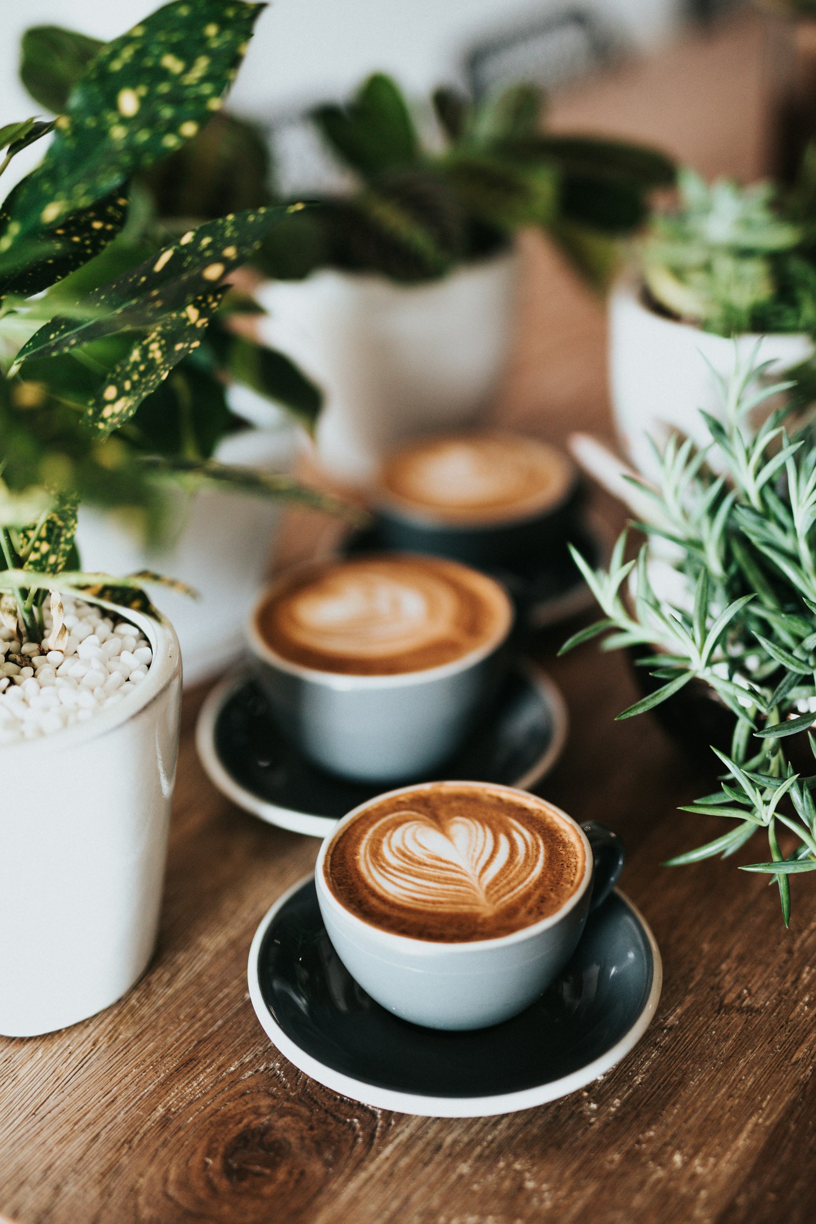 Coffee House website